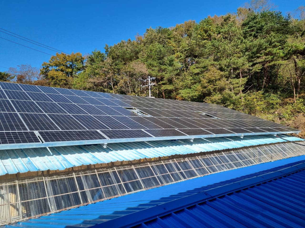 d96a55fe1c839c680a1191ee23430fa7_1723791619_4016.jpg d96a55fe1c839c680a1191ee23430fa7_1723791619_4016.jpg